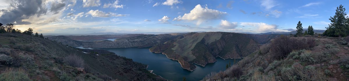 TBI Spouse (and Others)